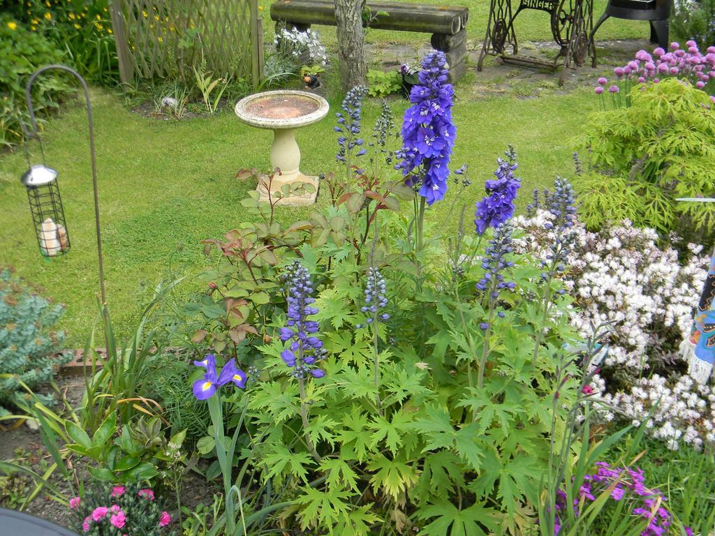 Ugiebrae House Bed & Breakfast North Sunderland Esterno foto